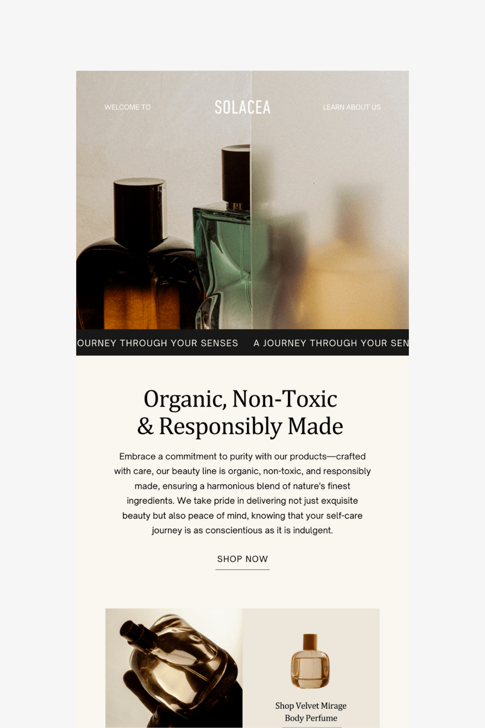 Solacea Flows - The Ecommerce Creative - Template